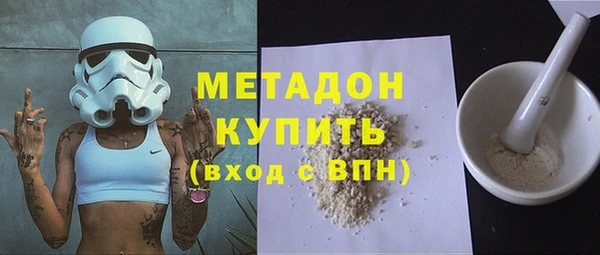 прущие грибы Новодвинск