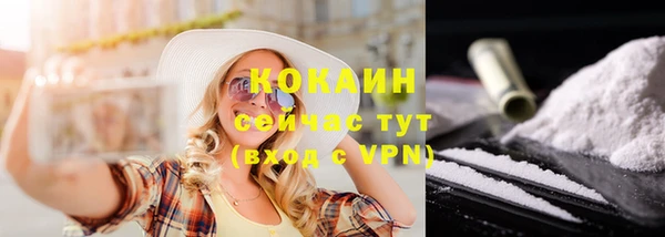 ГАЛЛЮЦИНОГЕННЫЕ ГРИБЫ Новозыбков