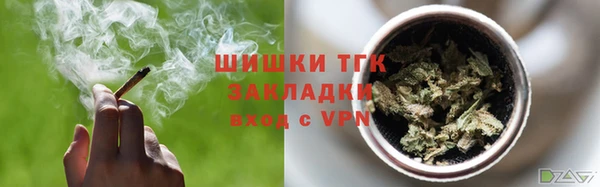 apvp Болотное