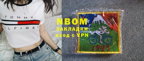 прущие грибы Новодвинск