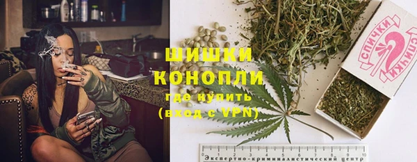 прущие грибы Новодвинск