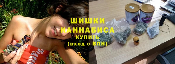 ГАЛЛЮЦИНОГЕННЫЕ ГРИБЫ Новозыбков