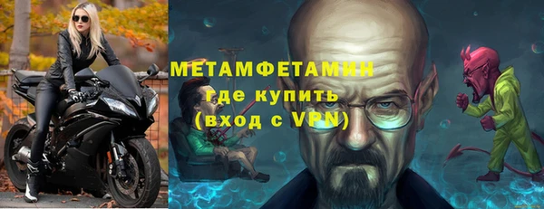 прущие грибы Новодвинск