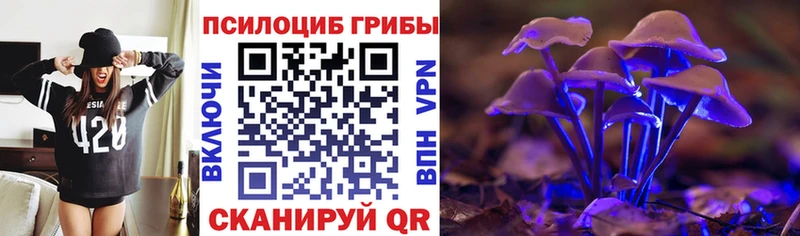 Галлюциногенные грибы ЛСД как найти закладки Суздаль